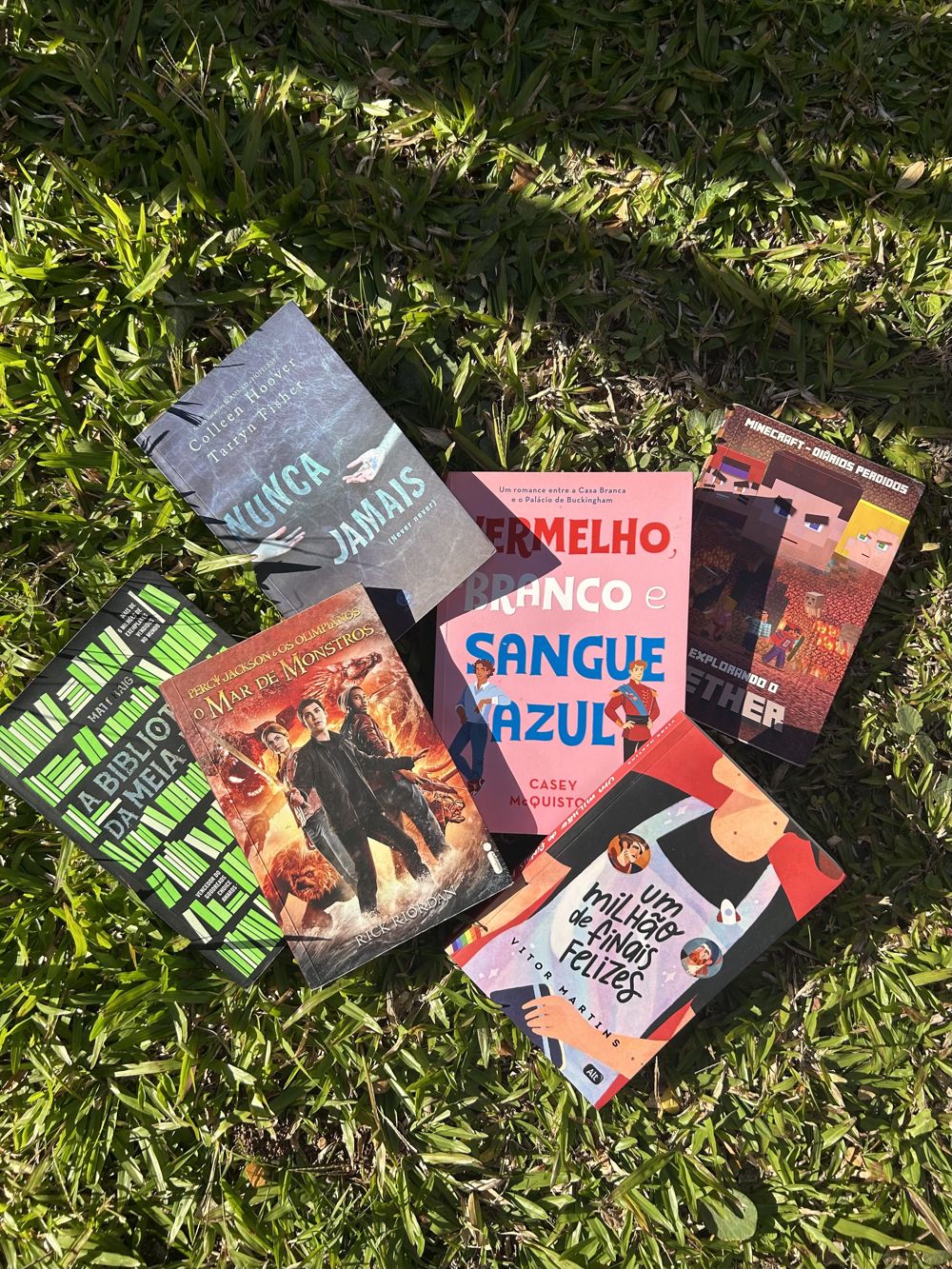 Livros garimpados do bazar EBA espalhados na grama